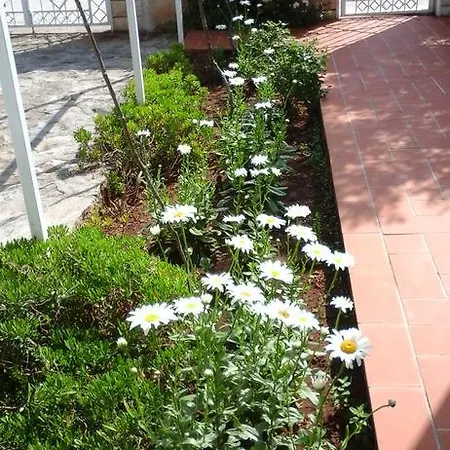 Donadini Apartman