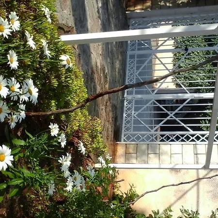 Appartement Donadini *