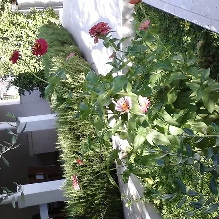 Апартаменты Donadini