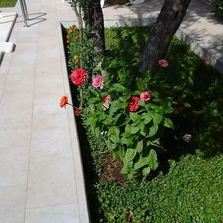 Donadini * Трогир
