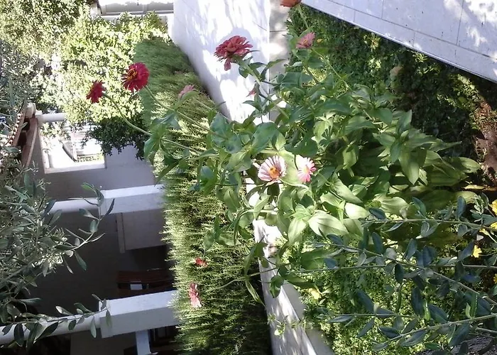 Appartement Donadini