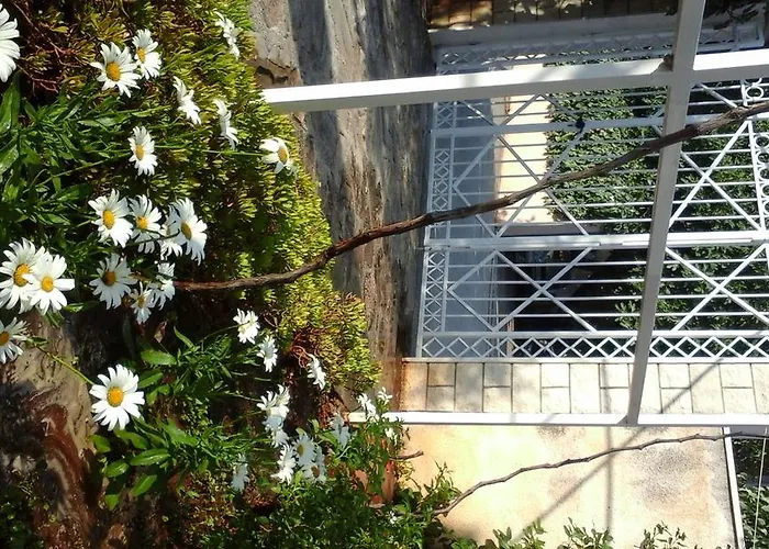 Appartement Donadini *