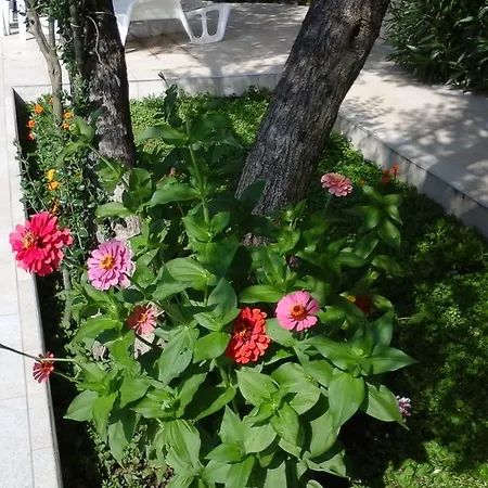 Donadini Appartement *